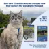 PetSafe® Come With Me Kitty, Cat Harness, and Cat Bungee Leash, Multiple Sizes & Colors image thumbnail 7