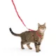 Product PetSafe® Come with Me Kitty Harness and Bungee Leash