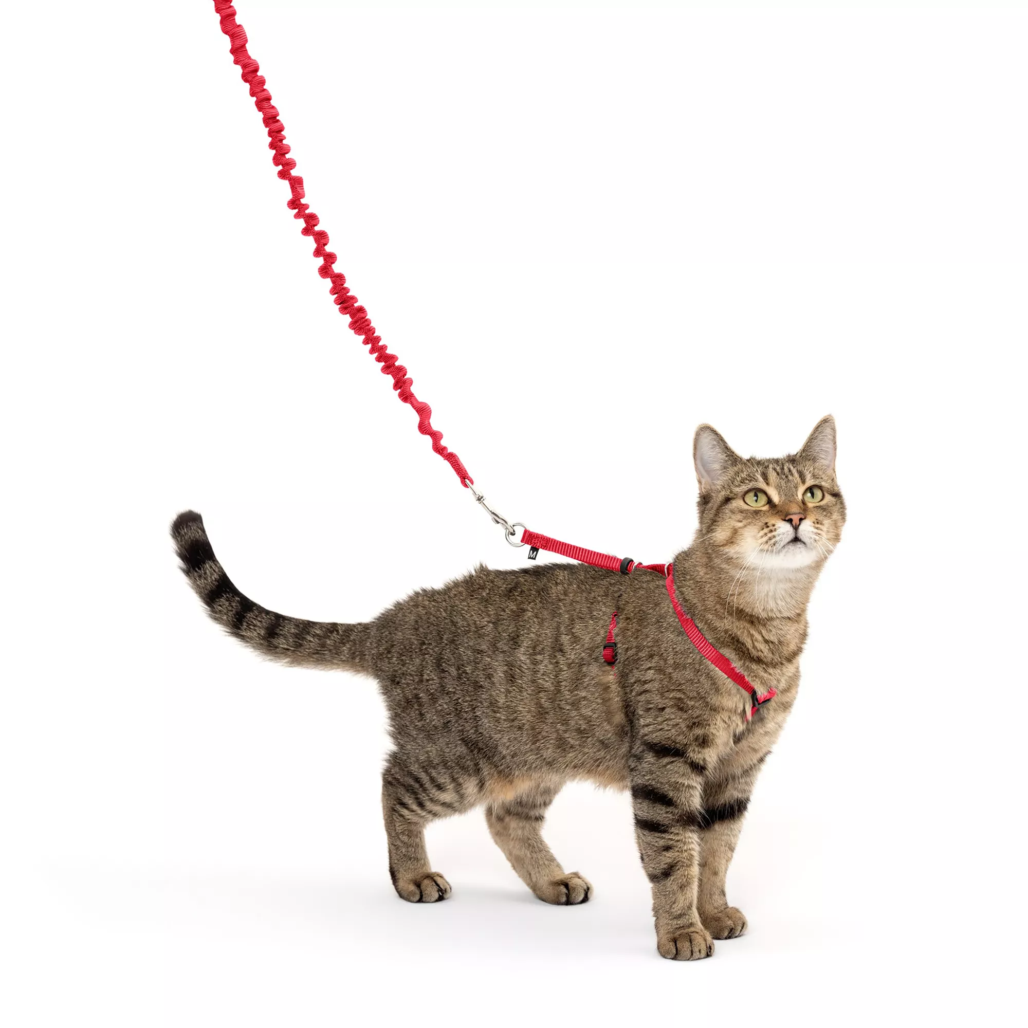 The PetSafe® Come With Me Kitty&trade; Nylon Cat Harness and Bungee Leash