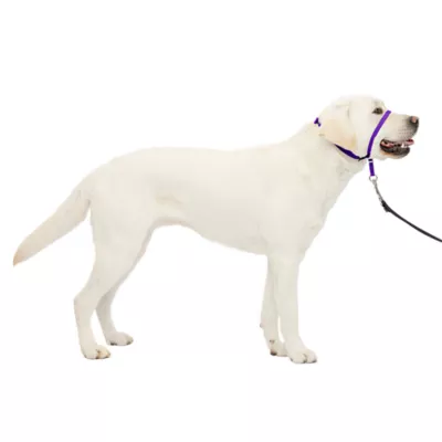 Product PetSafe® Gentle Leader Nylon Dog Headcollar