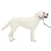 PetSafe® Gentle Leader Nylon Dog Headcollar image thumbnail 1