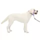 Product PetSafe® Gentle Leader Nylon Dog Headcollar