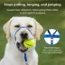 PetSafe® Gentle Leader Nylon Dog Headcollar image thumbnail 3