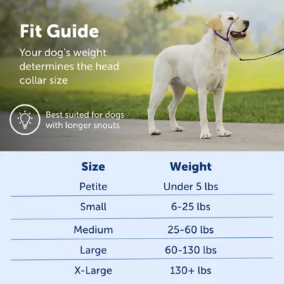 Product PetSafe® Gentle Leader Nylon Dog Headcollar