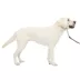 PetSafe® Gentle Leader Nylon Dog Headcollar image thumbnail 1
