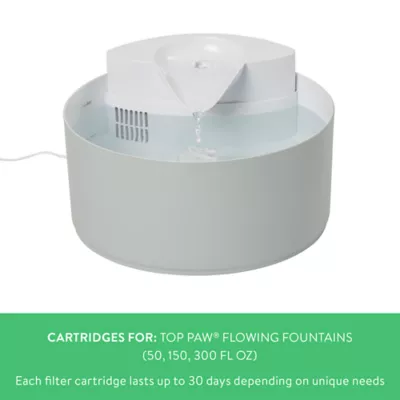 Product Top Paw® Flowing Fountain Small Filter 4 CT
