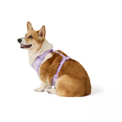 Top Paw® Daisy Lavendar Harness - Image 2