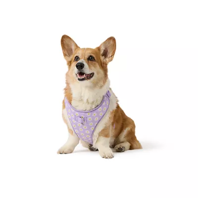 Top Paw® Daisy Lavendar Harness - Image 1