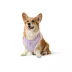 Top Paw® Daisy Lavendar Harness image thumbnail 1