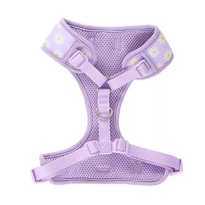 Top Paw® Daisy Lavendar Harness - Image 4