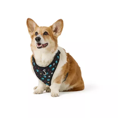 Top Paw® Patterned Harness - Image 1