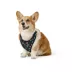 Top Paw® Patterned Harness image thumbnail 1