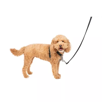 Product PetSafe® 3 in 1 Harness