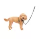 Product PetSafe® 3 in 1 Harness