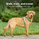 Product PetSafe® 3 in 1 Harness