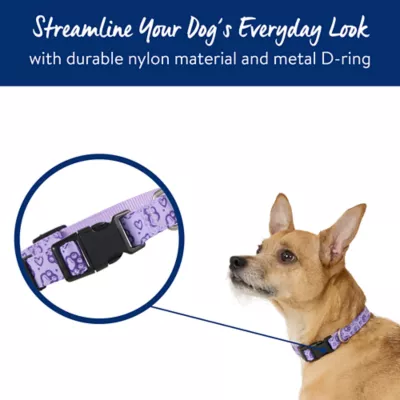 Product Top Paw® Purple Paw Print Dog Collar