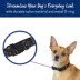 Top Paw® Celestial Dog Collar image thumbnail 2
