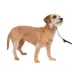 PetSafe® Gentle Leader Nylon Dog Headcollar image thumbnail 1
