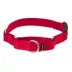 PetSafe® Martingale 3/8" Collar with Quick Snap Buckle image thumbnail 1