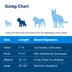 PetSafe® Martingale 3/4" Collar with Quick Snap Buckle image thumbnail 3