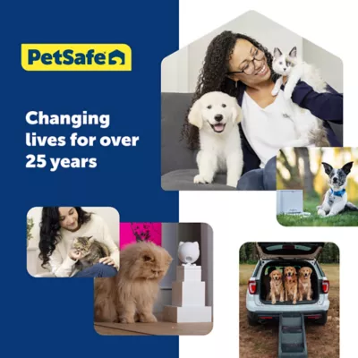 Product PetSafe® Martingale 3/4" Collar with Quick Snap Buckle
