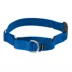 PetSafe® Martingale 3/4" Collar with Quick Snap Buckle image thumbnail 1