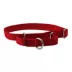 PetSafe® Martingale 1" Nylon Dog Collar image thumbnail 1
