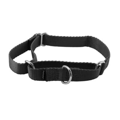 Product PetSafe® Martingale 3/4" Nylon Dog Collar