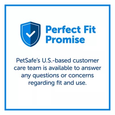 Product PetSafe® Martingale 3/4" Nylon Dog Collar