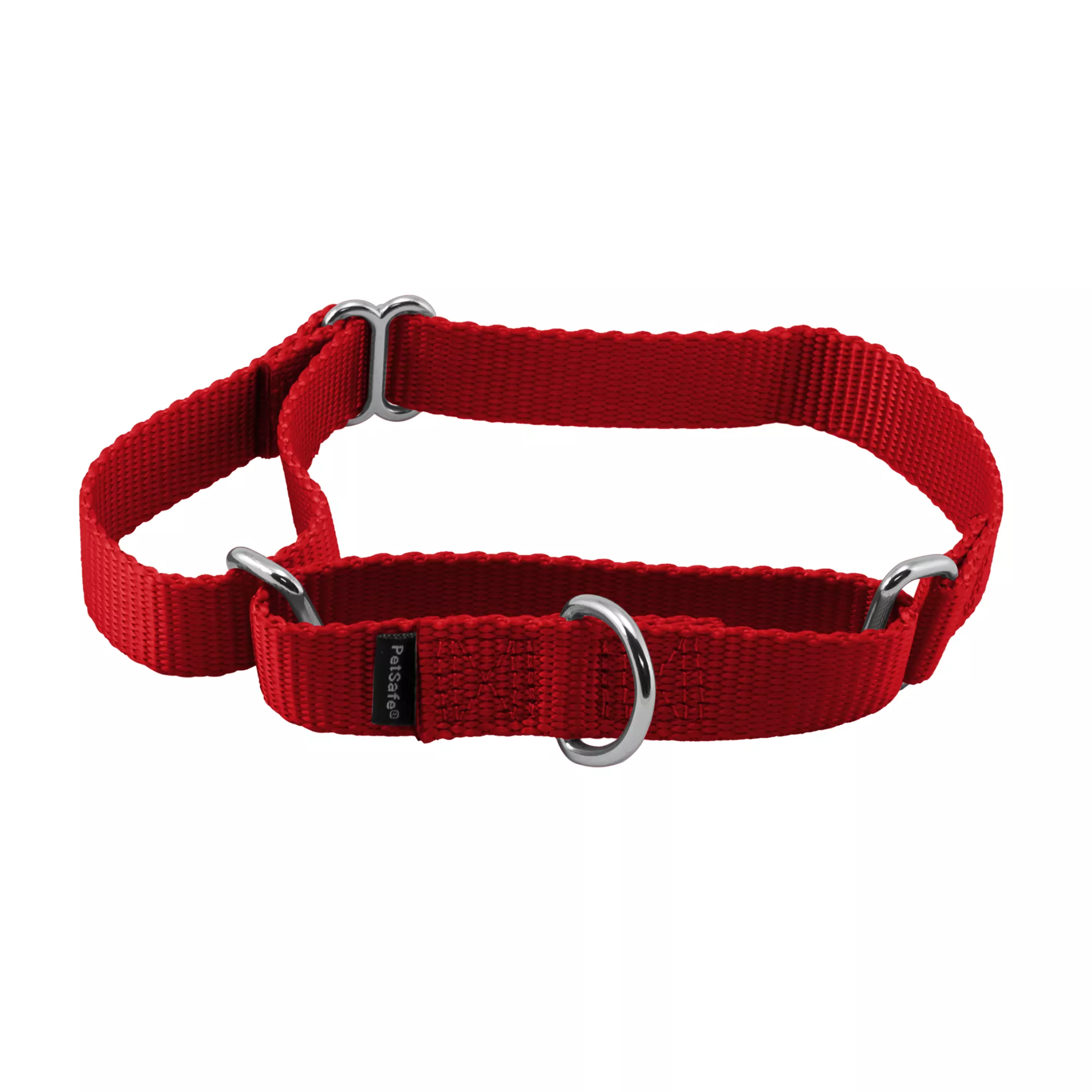 PetSafe® Martingale Nylon Dog Collar