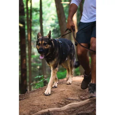Product Ruffwear Front Range Dog Collar