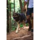 Product Ruffwear Front Range Dog Collar
