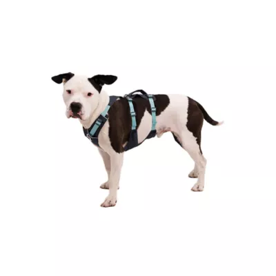 Product Ruffwear Flagline Dog Harness