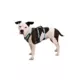 Product Ruffwear Flagline Dog Harness