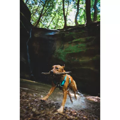 Product Ruffwear Flagline Dog Harness