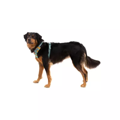 Product Ruffwear Front Range Dog Harness
