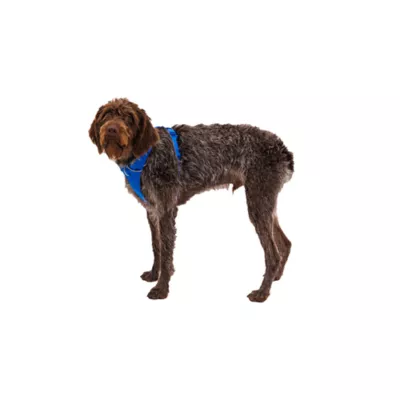 Product Ruffwear Front Range Dog Harness