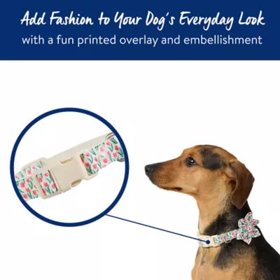 Product Top Paw® Rosebud Dog Collar with Bow
