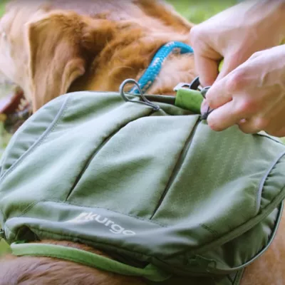 Product Cascade Dog Harness