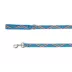 Top Paw® Retro Stripe Dog Leash - 4 Ft image thumbnail 1