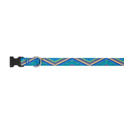 Top Paw® Blue Retro Stripe Dog Collar, Blue Dog Collar, Adjustable, Multiple Sizes - Image 1