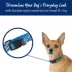 Top Paw® Blue Retro Stripe Dog Collar, Blue Dog Collar, Adjustable, Multiple Sizes image thumbnail 2