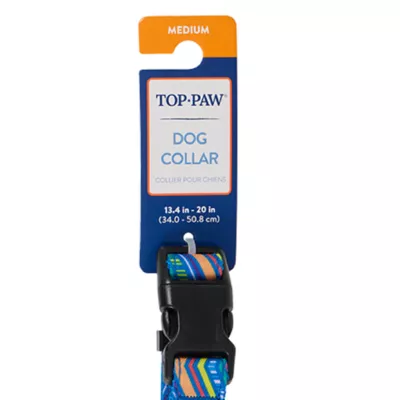 Product Top Paw® Retro Striped Dog Collar
