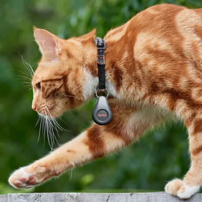 Product Airpet Locator Tag w/Key Chain