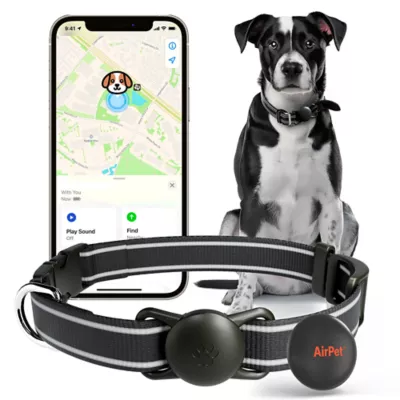 Product Airpet Locator Tag w/Collar