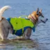 Kurgo® Surf n' Turf Life Vest Harness X-Small image thumbnail 5