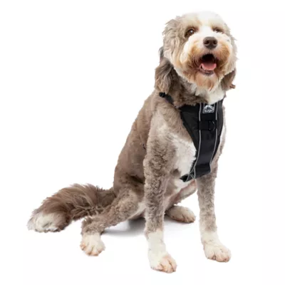 Kurgo® Tru-Fit Dog Harness - Image 1