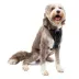 Kurgo® Tru-Fit Dog Harness image thumbnail 1