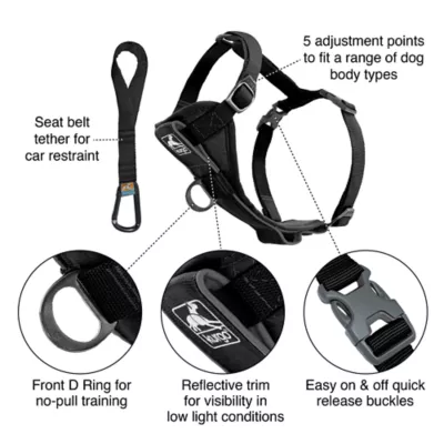 Kurgo® Tru-Fit Dog Harness - Image 2
