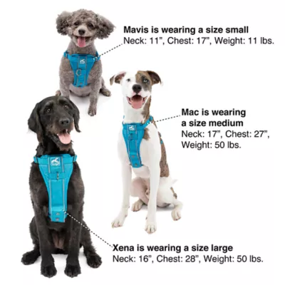Kurgo® Tru-Fit Dog Harness - Image 7